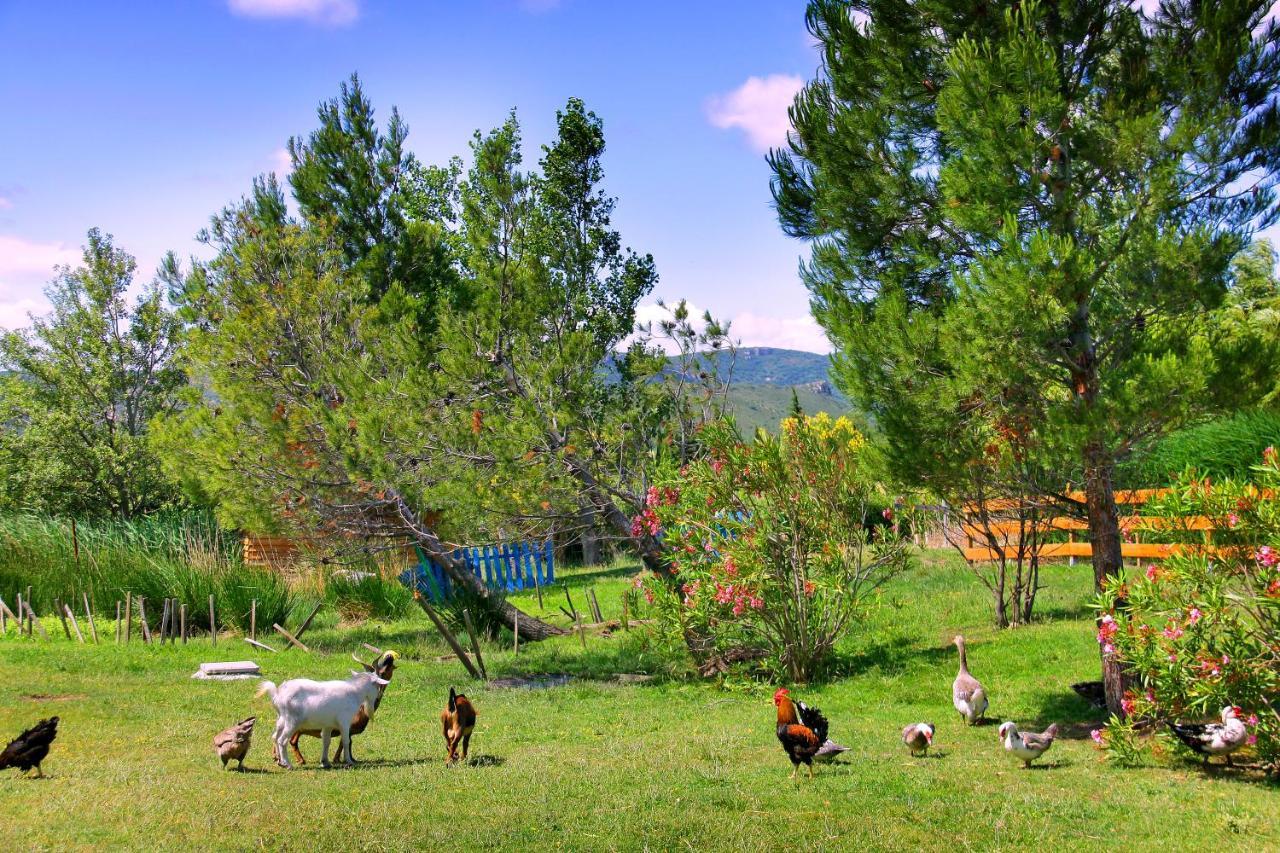 Lodge En Pays Cathare Tuchan Экстерьер фото